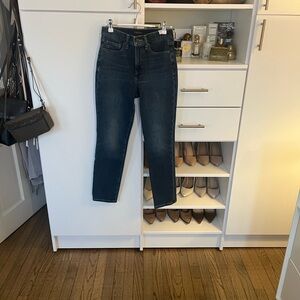 Banana Republic Dark Blue Skinny Jeans